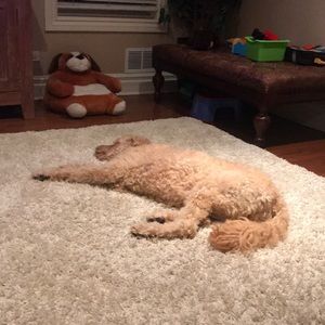 Meet your Posher, Suzanne